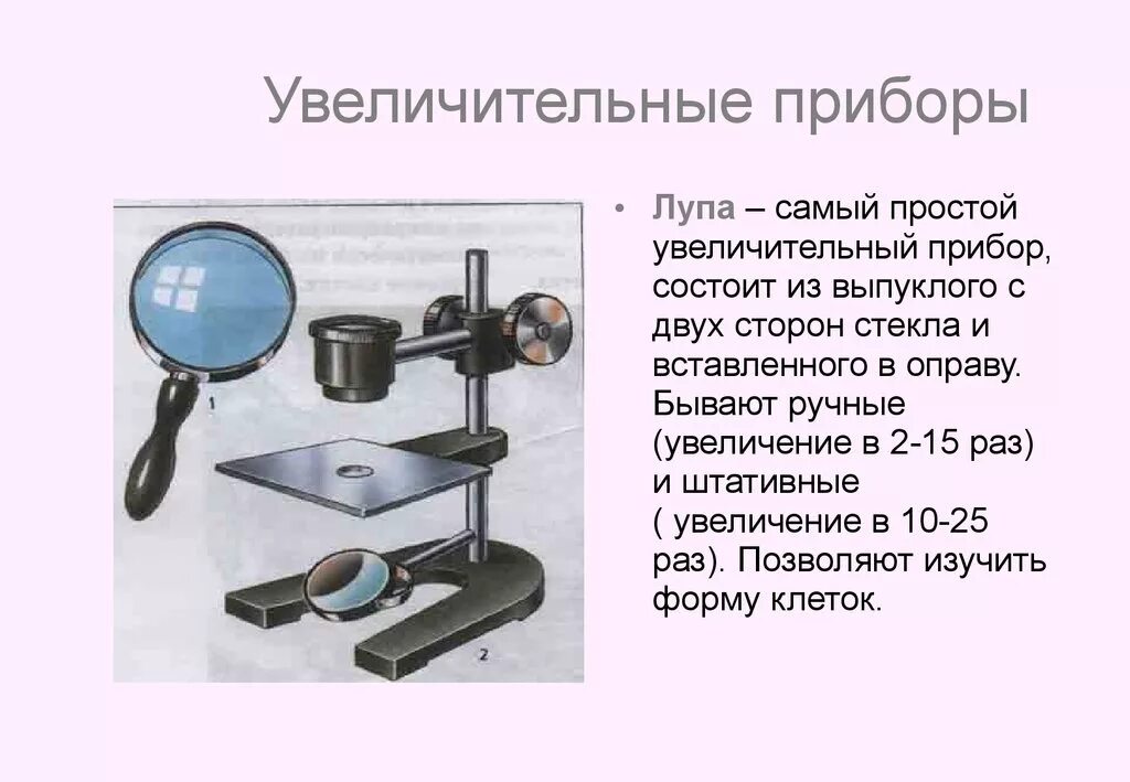 Рассмотрите с помощью лупы