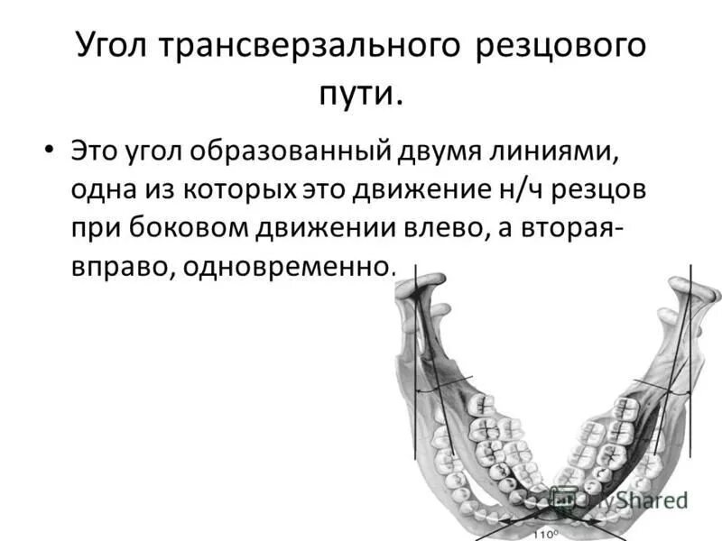 угол трансверзального суставного пути угол беннета. биомеханика трансверзальные движения челюсти. угол трансверзального суставного пути угол беннета. угол трансверзального резцового. угол трансверзального резцового.