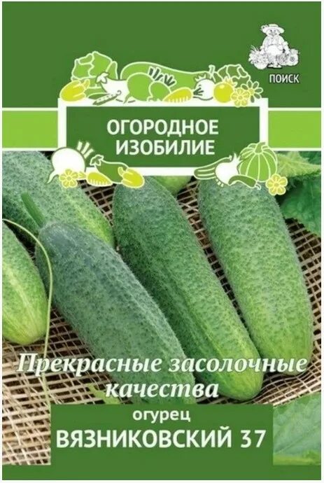 Опис огірків сорту Луховицкие, характеристика і вирощування