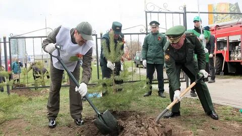 Участники садов