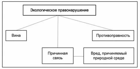 Особенности выявления правонарушений