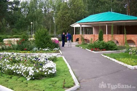 Сосновый бор йошкар ола сайт