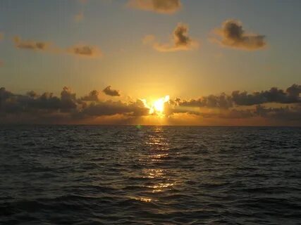 Увидеть в дали морской