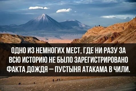 Несколько фактов о жизни