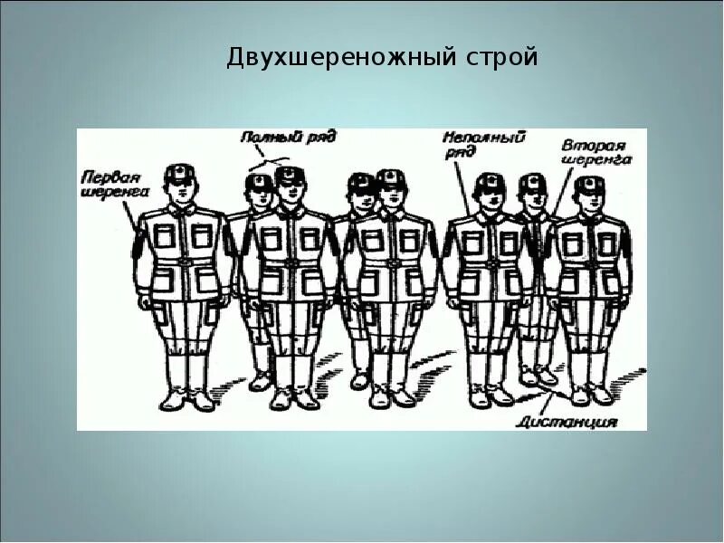 Одношереножный строй шеренга и его элементы. Двухшереножный строй шеренга. Строй в колонну по два. Построение в одношереножный строй. Походный строй.
