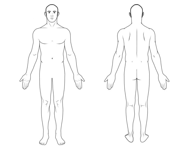 Схема человека. Макет туловища человека. Шаблон тела человека. Шаблон человеческого тела. How to outline
