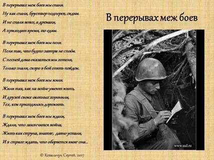 Перед боем анализ