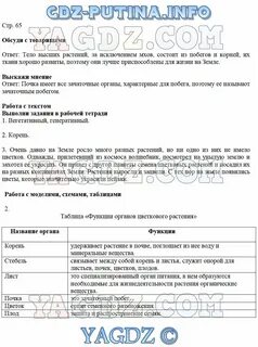 Биология 5 класс учебник сивоглазов плешаков ответы