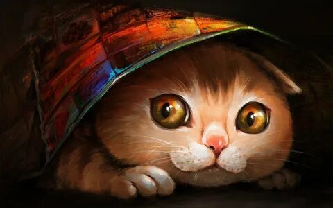 Обои с крутыми котами