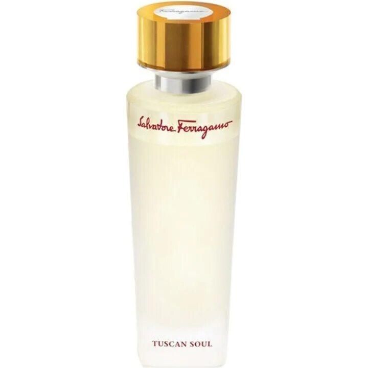 Salvatore ferragamo мужские духи снятые с производства. Salvatore ferragamo pour femme. Salvatore ferragamo de. Salvatore ferragamo de. Духи сальваторе феррагамо белые.
