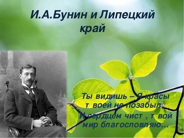 Портрет бунина на фоне природы. Иван бунин метель. Художник абрахам хантер лето. Бунин повести обложка книги. Писатели 20 века.