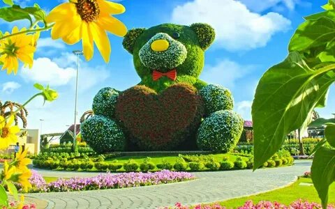 Чудо сад санкт