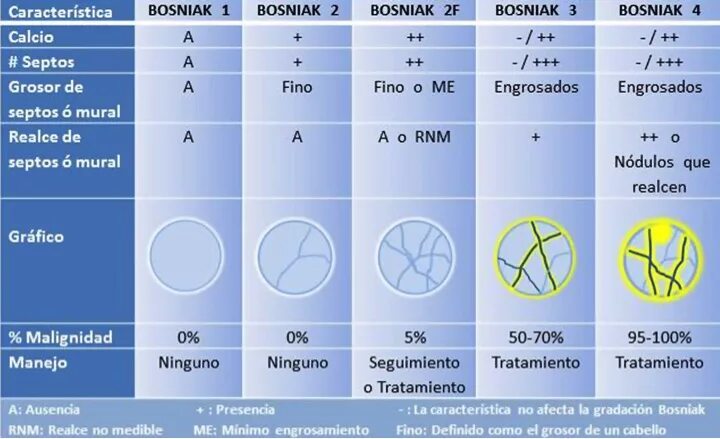 Кисты почек bosniak. Босниак классификация. кисты по босняк классификация. типы кист по босниак. классификация кист почек по bosniak.