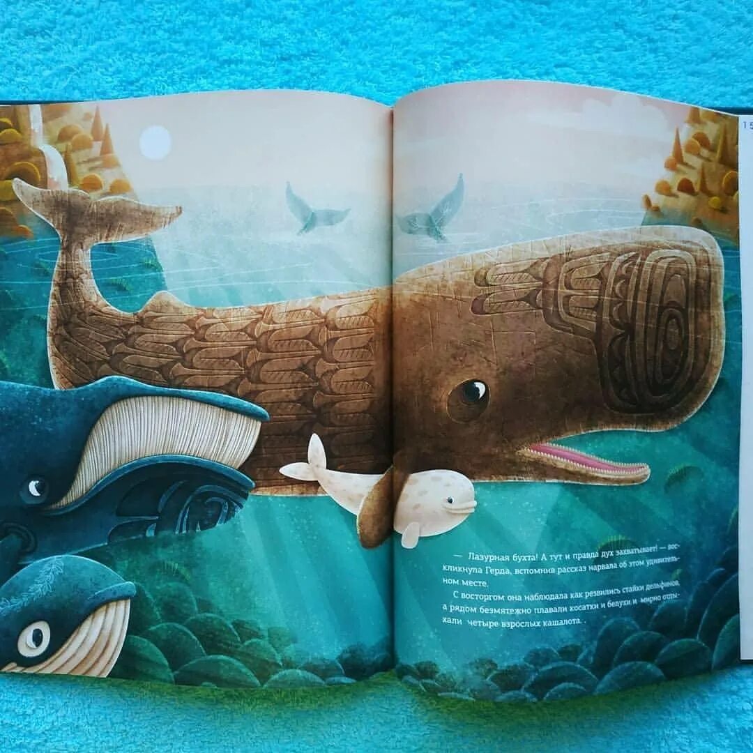 Книга про кита. Книга о китах. Книжка киты. Книги про китов.