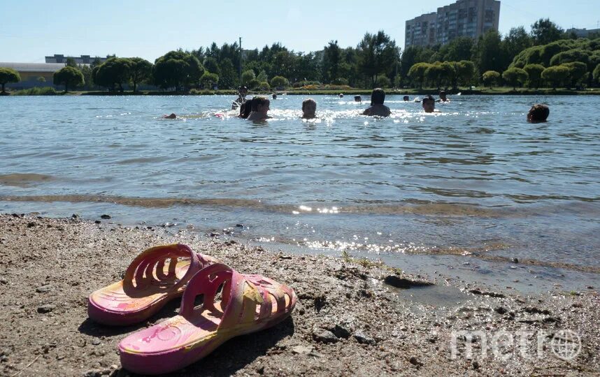 Петербург где можно купаться. Летние пляжи купания. Питер пляжи для купания. Купание в водоемах. Пляж Санкт-Петербург.