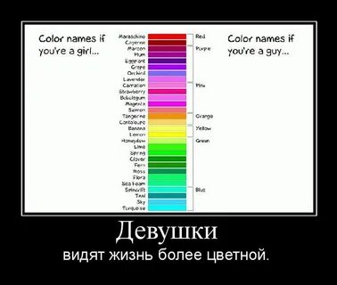 Цвета мужчины и женщины