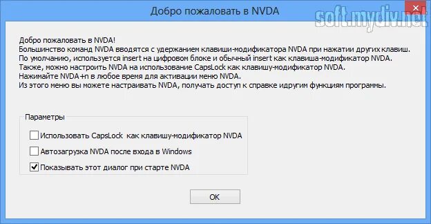 Программа NVDA. Программы экранного доступа для слабовидящих. Речевая программа NVDA. Программа для слабовидящих NVDA.