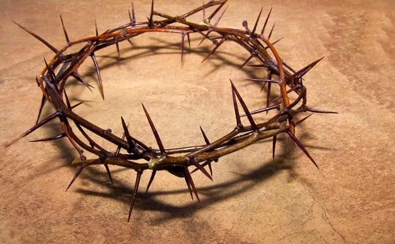 Терновый венок иисуса христа. Терновый венок значение. Корона терновый венец. Терновый венец иисуса христа в соборе парижской богоматери. Терновый венок значение.