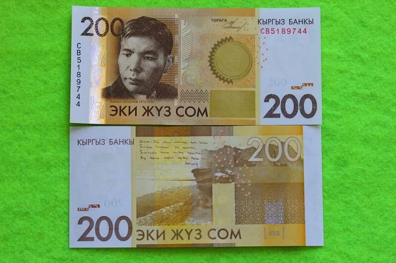 Кыргызский сум. Купюры кыргызского сома. Кыргызский сум. Киргизия 1 сом 1999. Киргизия 1 сом 1993 года.