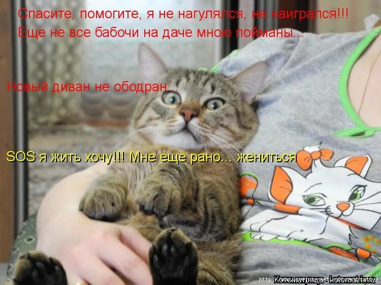 Че мем. Ну посмотри скажи мне. Ну посмотри скажи мне. Гляньте на него. Заяц ты меня слышишь.