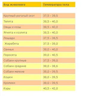 Температура разных животных