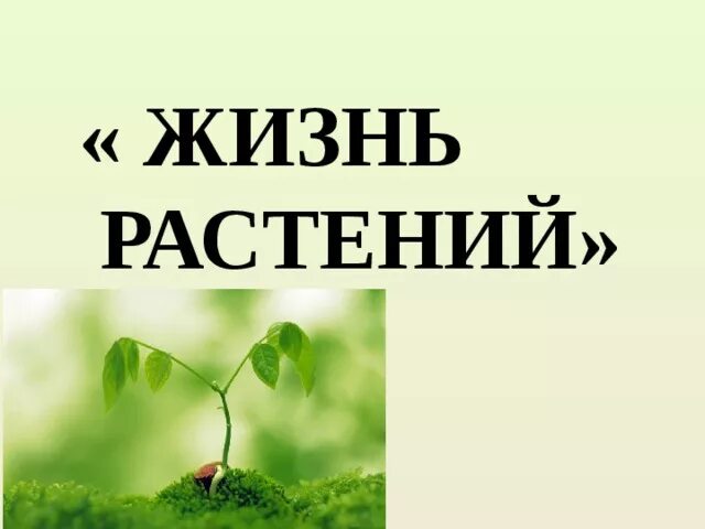 Жизнь растений том 3. Жизнь растений.. Растительная жизнь. Жизнь растений книга. Растения живут.