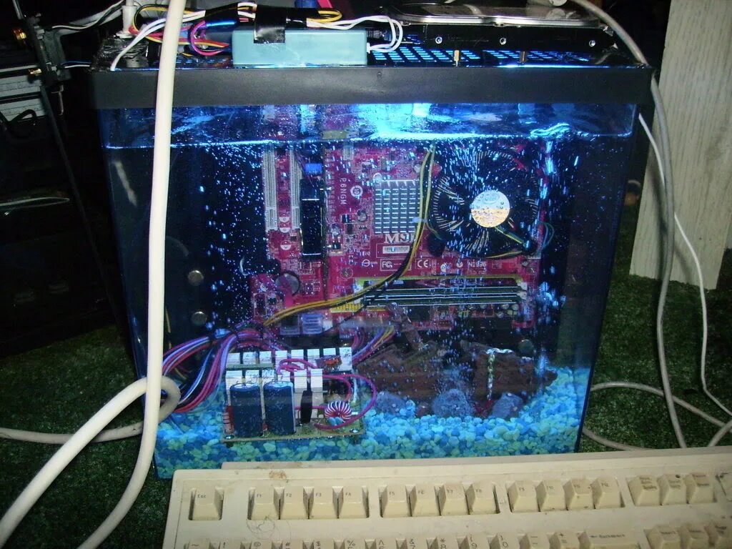 Зион процессор. Аквариумное охлаждение ПК. Системник аквариум. ПК В аквариуме. Масляное охлаждение ПК.
