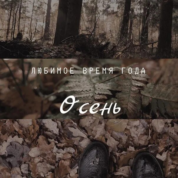 Кто там стучится осень не открывай. I Miss the Misery ai Mori. Там где стучит там там