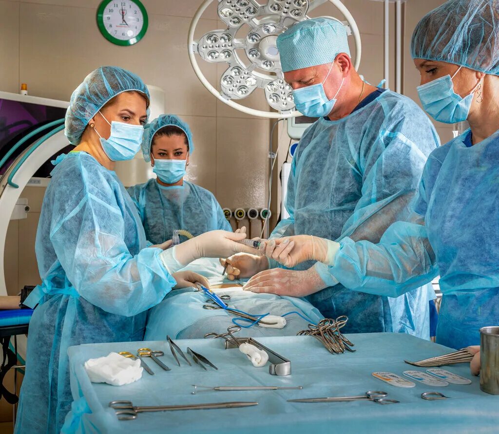 частный хирургический клиника. нт-медицина ярославль некрасова. клиника нт-медицина ярославль. гуляев игорь валерьевич пластический хирург. мира 93 красноярск клиника пластической хирургии сайт.