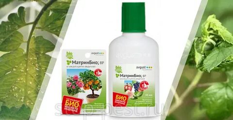 Матринбио