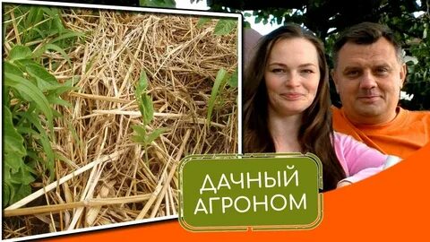 Дачный агроном