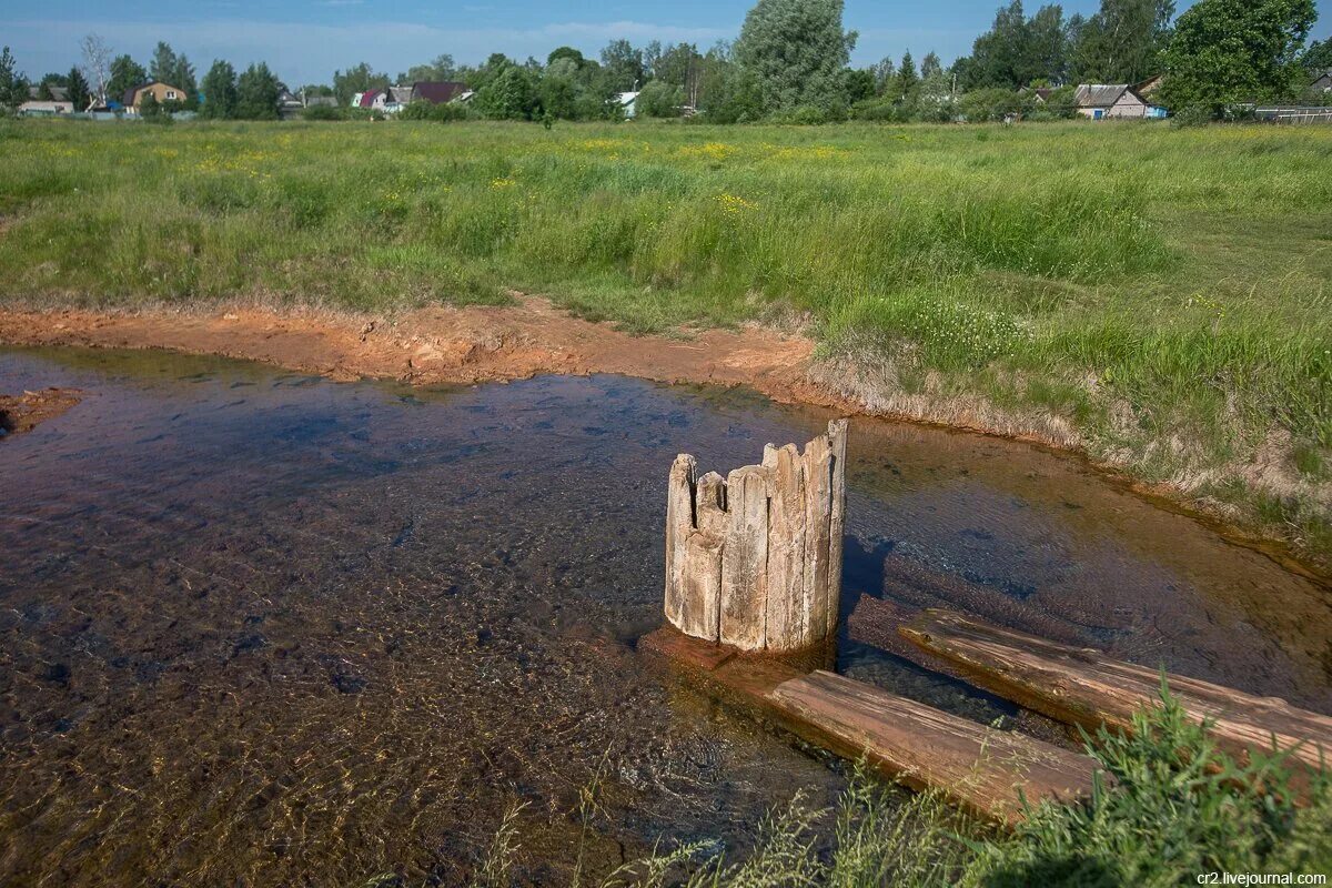 Екатерининский источник Старая Русса. Царицынский источник Старая Русса. Соляной ручей Старая Русса. Родник в старой Руссе. Старая русса озеро