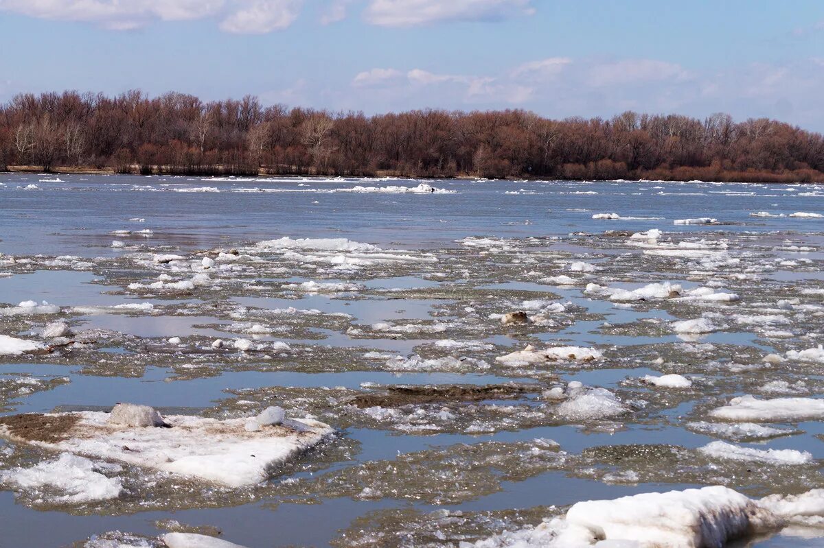 Лед тронулся значение фразеологизма. Енисей река ледоход. Мотыгино Красноярский край ледоход. Лед тронулся ледоход. Лед весной.
