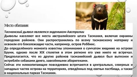 Какое среди растений является эндемиком северной америки