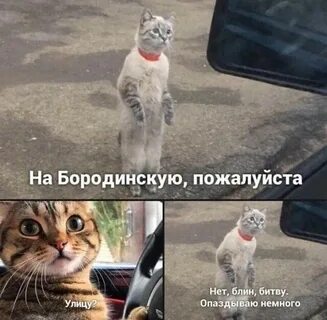 Мемы картинки с надписями до слез