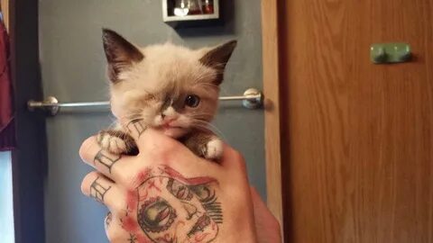 Just cute