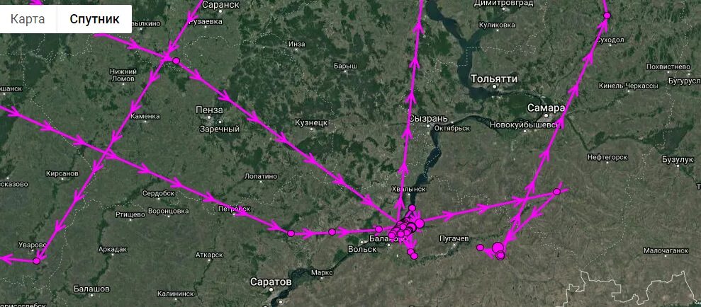 Куда летят гуси весной в россии. Карта миграции гусей в России. Карта пролета гуся весной по территории России. Карта пролета гусей весной. Миграция гусей.