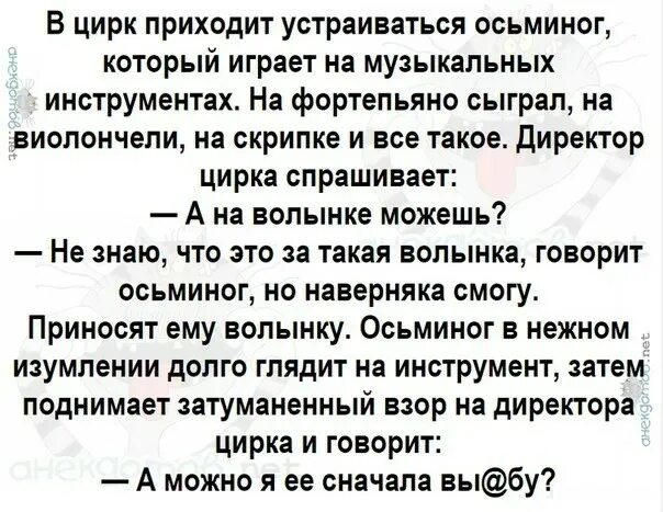 Пришла устраиваться и была. Анекдот про осьминога. Анекдот про осьминога и волынку. Осьминог пришел устраиваться в цирк. Анекдоты про волынку.