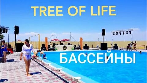 Куда куда в бассейн