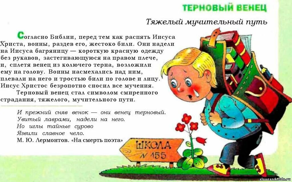 терновый венец куст. терновый венок иисуса христа. терновый венец значение фразеологизма. терновый венец иисуса христа. иисус христос в венце.