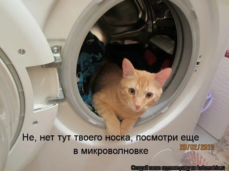 Кто тырит носки. Вылазь говорю. Вылазь говорю. Вылезай говорю. Анекдот про глистов.