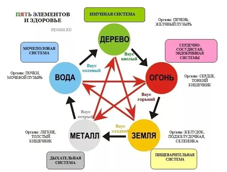 Дерево металл вода. Круг у-син 5 элементов. У-син теория 5 первоэлементов. Схема у-син пять первоэлементов. Круг порождения пяти элементов.