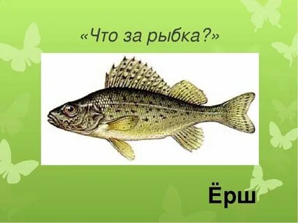 Сколько в слове ерш
