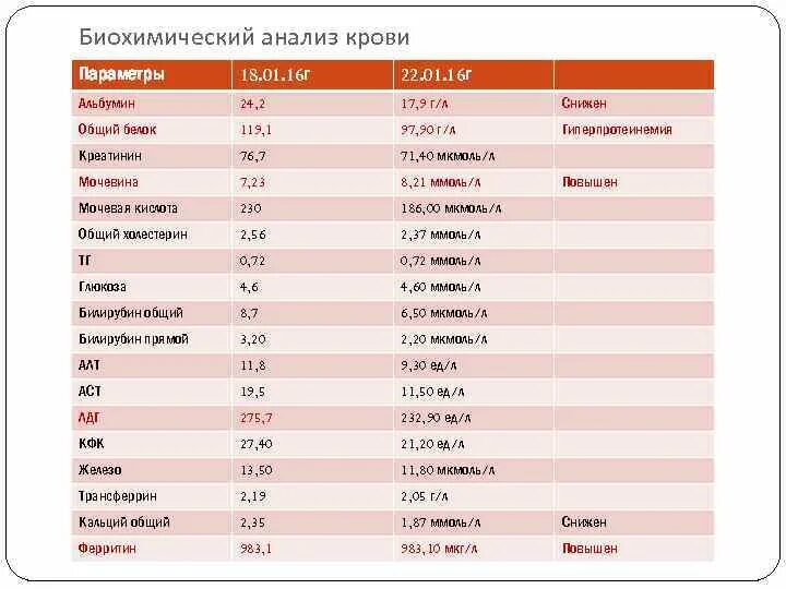 Общий белок в крови снижение. Альбумин анализ. Альбумин 46.3 у ребенка 11 лет. Что прописывают кошкам при нехватке альбумина.