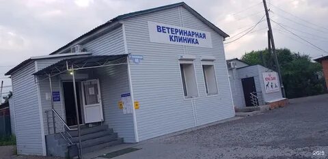 Ветклиника чита