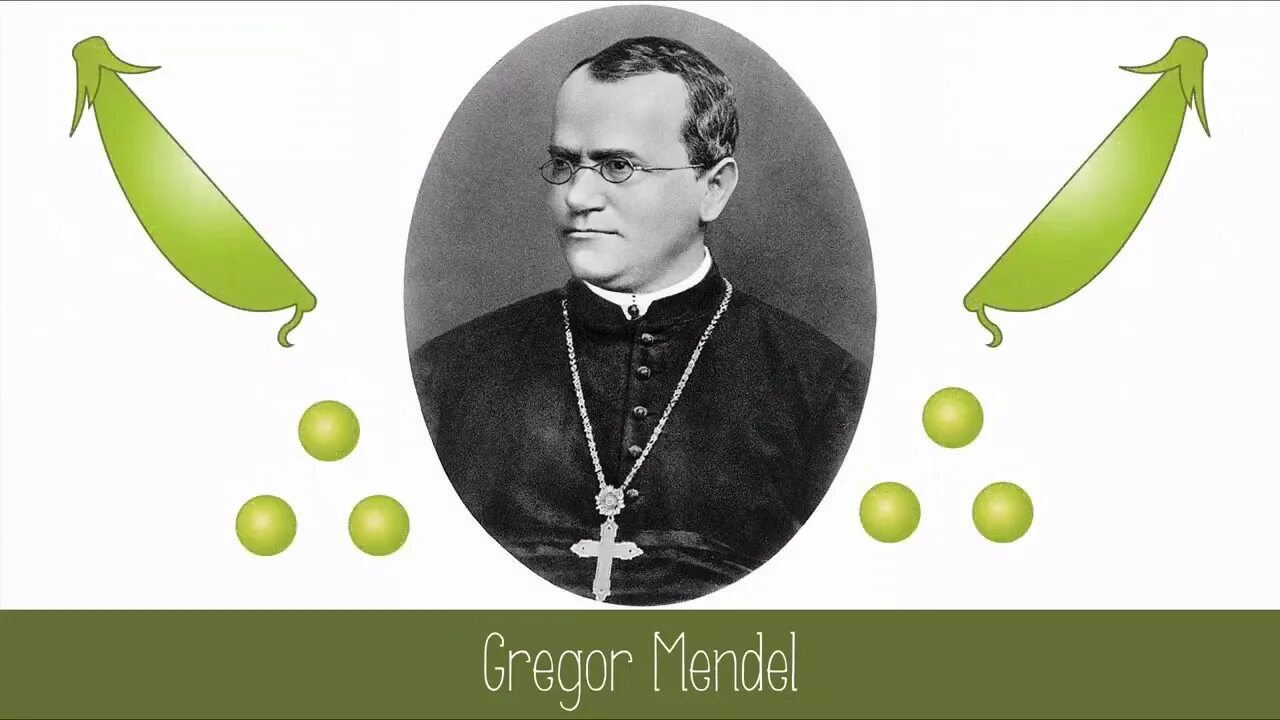 Грегор Мендель. Gregor Johann Mendel. Мендель Грегор Иоганн опыты. Грегор Мендель портрет.