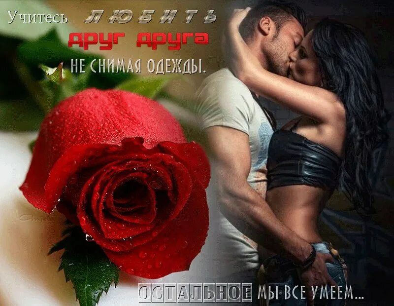Хочешь я тебе фотку дам. Хочешь я тебе фотку дам. Люблю обнимаю. Вечерний поцелуй. Хочешь я тебе фотку дам.