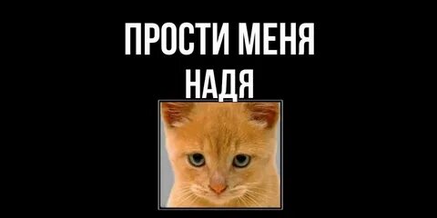 Под нами внизу простите меня музыка