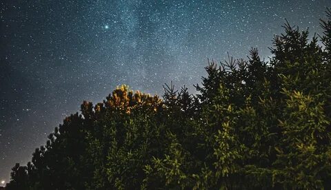 PCA Unveiled: The Art and Science of Data Transformation 