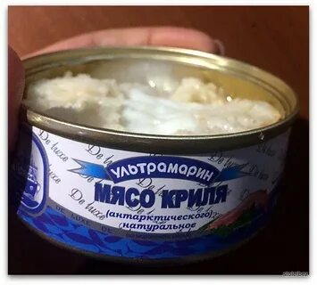 Мясо криля консервированное рецепты
